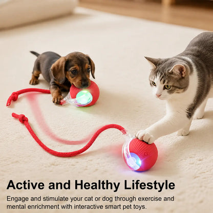 Interactive Electric Pet Ball Chaser with USB Rechargeable LED Light and Built-In Rope Attachment - Three Play Modes for Indoor Cats and Small Dogs, Encouraging Natural Chasing and Enhancing Well-Being